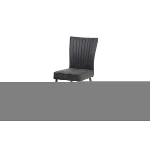 Sconto Jedálenská stolička PAULA sivá