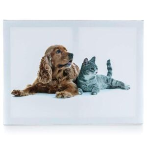 Sconto Obraz na plátne DOG AND CAT I 40x30 cm, motív pes s mačkou