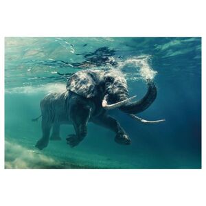 Sconto Obraz ELEPHANT 120x80 cm, viacfarebná