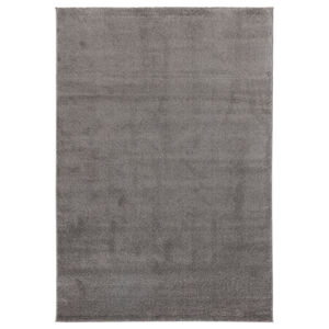 Sconto Koberec VERLICE GREY sivá, 80x150 cm